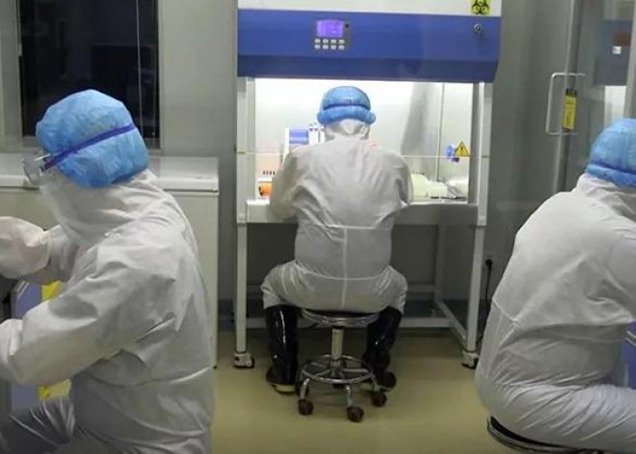 德州昨日新增本土确诊13例是哪里的:德州新增确诊病例