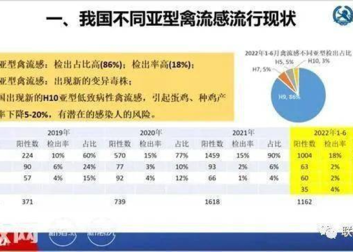 2019河南禽流感深度回溯,疫情脉络、防控举措与产业影响全解析 2019河南禽流感深度回溯,疫情脉络、防控举措与产业影响全解析