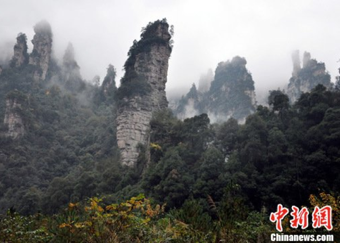 雨雾仙境,雨天张家界,别样风景等你探索 雨雾仙境,雨天张家界,别样风景等你探索