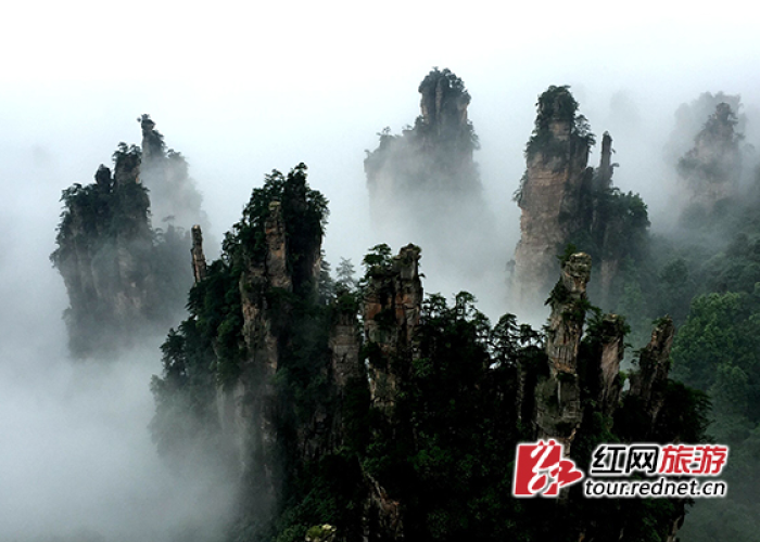 雨雾仙境,雨天张家界,别样风景等你探索 雨雾仙境,雨天张家界,别样风景等你探索