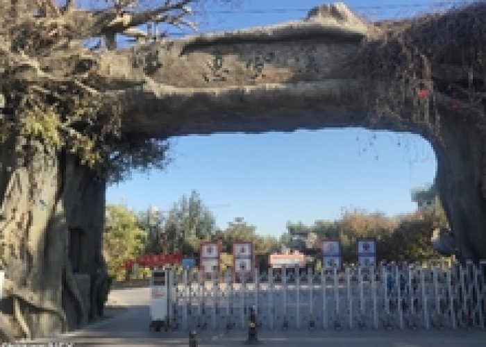 青岛核糖核酸检测，一座滨海名城的科学防线与全民协奏曲