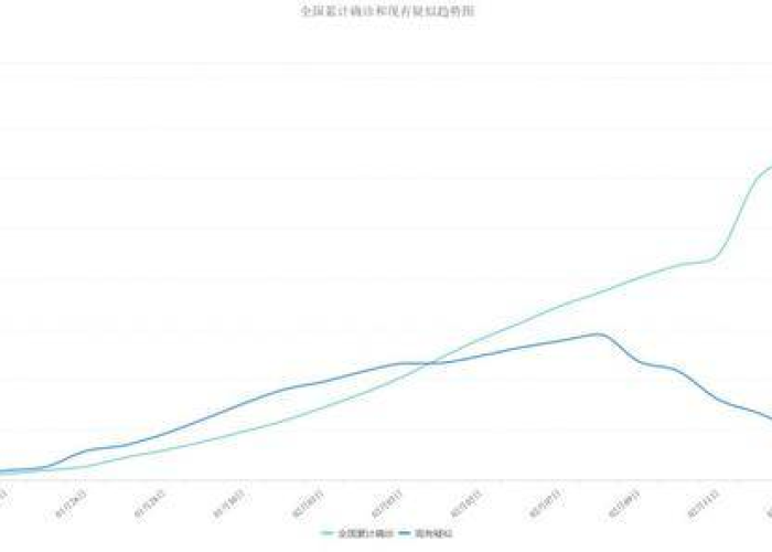 数字背后的脉搏，全国疫情病例数据统计如何勾勒全民健康轨迹