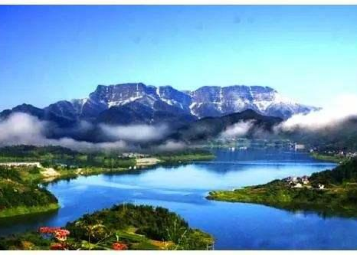 上海各公园一律闭园，城市绿肺暂停呼吸的背后思考