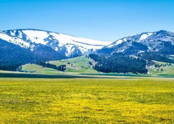 新疆地区最新疫情消息(新疆疫情地区分布图) 新疆地区最新疫情消息(新疆疫情地区分布图)