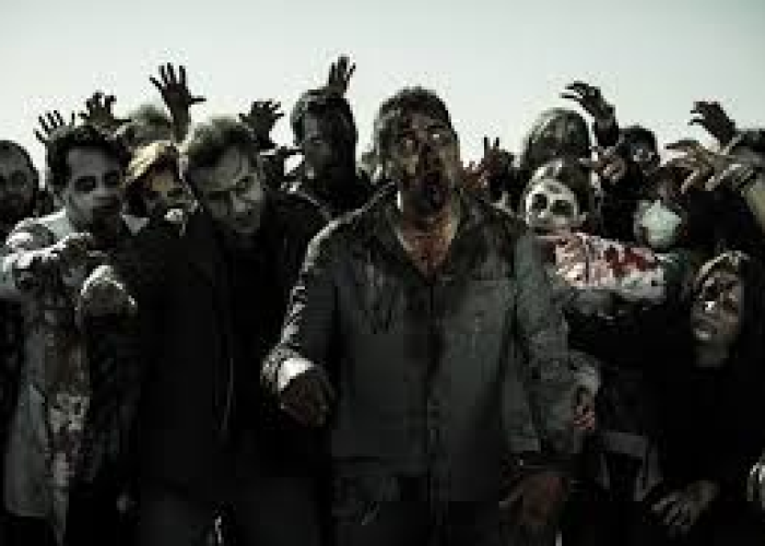 261号地区丧尸在线（261号地区豆瓣）