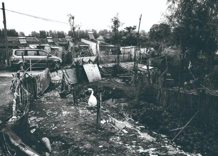 高邮马棚新冠启示录，一座小城的韧性书写与时代侧影