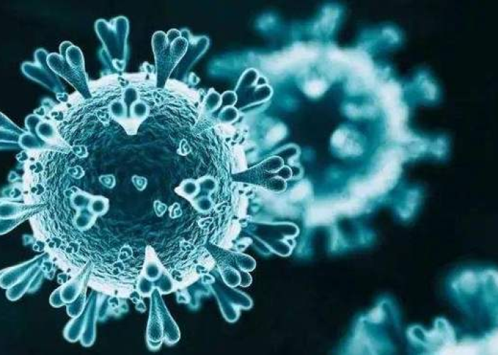 奥密克戎与新冠肺炎的区别/奥米克戎 奥密克戎与新冠肺炎的区别/奥米克戎