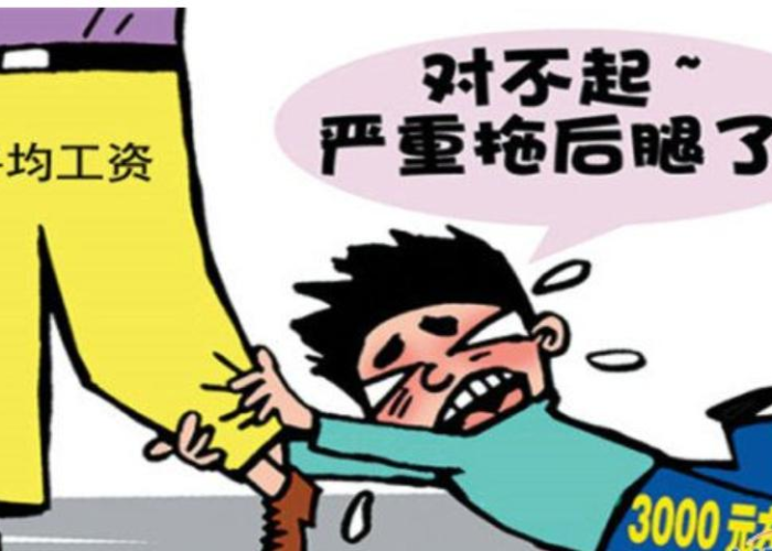 深圳市顺丰快递，引领中国物流业的创新先锋与城市发展引擎