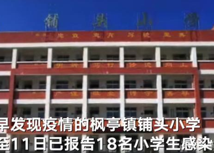 【福建莆田浦头小学,莆田铺头小学校长】
