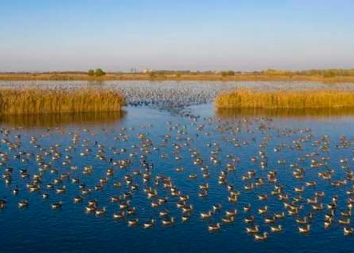 衡水,是市,更是传奇—解码河北平原上的双重身份 衡水,是市,更是传奇—解码河北平原上的双重身份