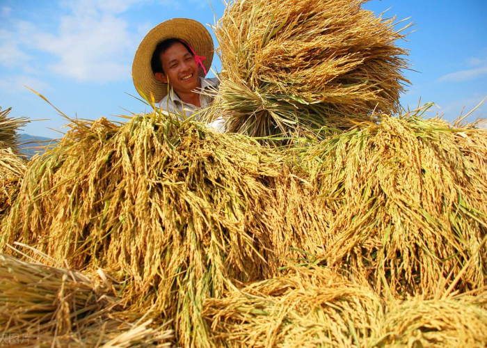 2021年清明节放假安排全解析,从4月3日正式开启,这些习俗与出行指南需知悉 2021年清明节放假安排全解析,从4月3日正式开启,这些习俗与出行指南需知悉