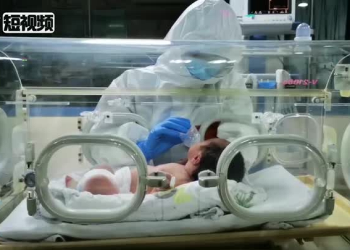 莱西市疫情新生儿团圆/莱西市疫情新生儿团圆活动 莱西市疫情新生儿团圆/莱西市疫情新生儿团圆活动