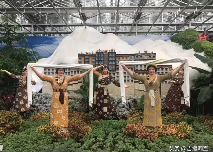 长春新增确诊背后的城市脉动，疫情下的坚守与希望交织