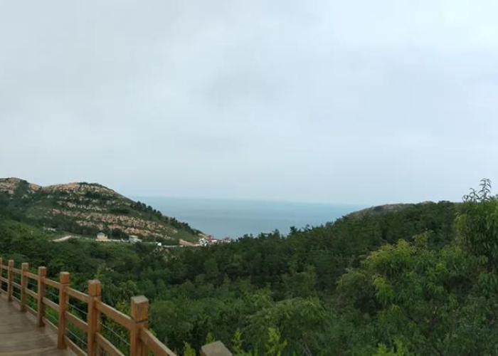 【北京到烟台航班时刻表,北京到烟台航班动态】