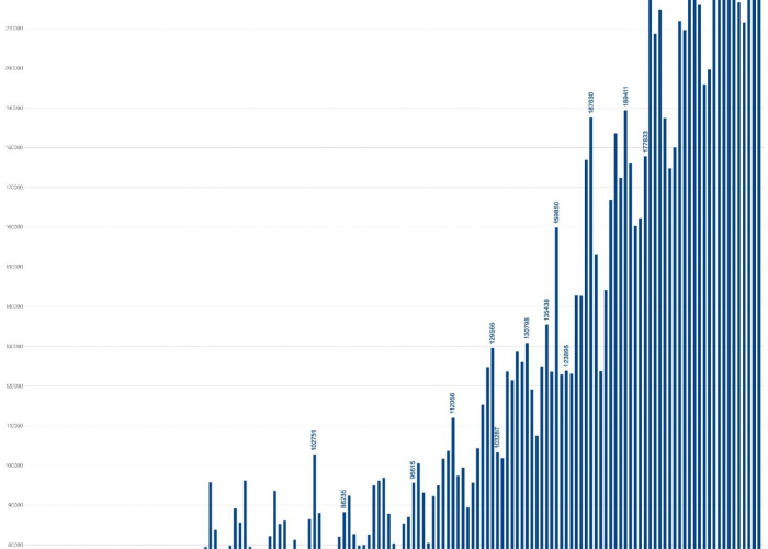 【13号上海新增新冠病毒/13号上海新增新冠病毒情况】