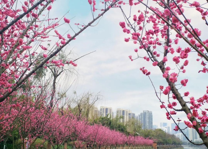 2019年节假日高速公路免费时间/2019年春节假期高速免费时间2021