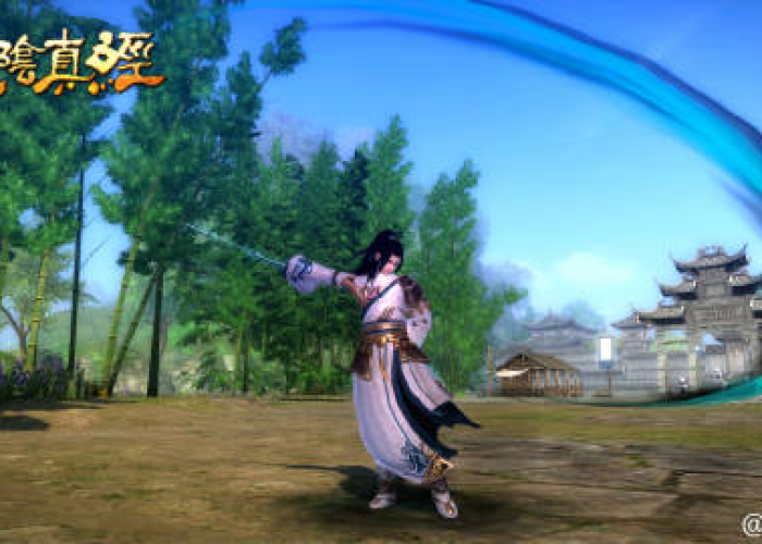 九阴青竹枝，幽谷中的千年秘宝