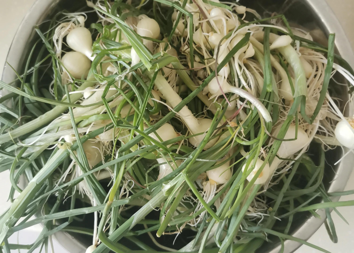 2022清明节是哪天?（2022年清明节是哪一天什么时候）