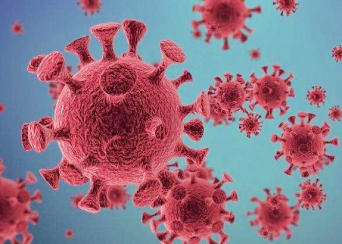 新冠状病毒早期症状是什么/新冠病毒 早期 症状