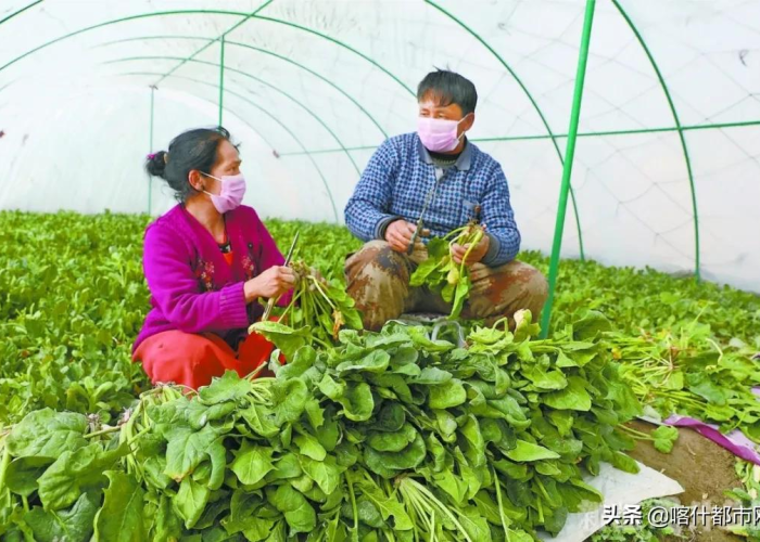 新疆防疫现状:新疆的防疫措施开始调整,希望这有助于促进当地的共识 新疆防疫现状:新疆的防疫措施开始调整,希望这有助于促进当地的共识