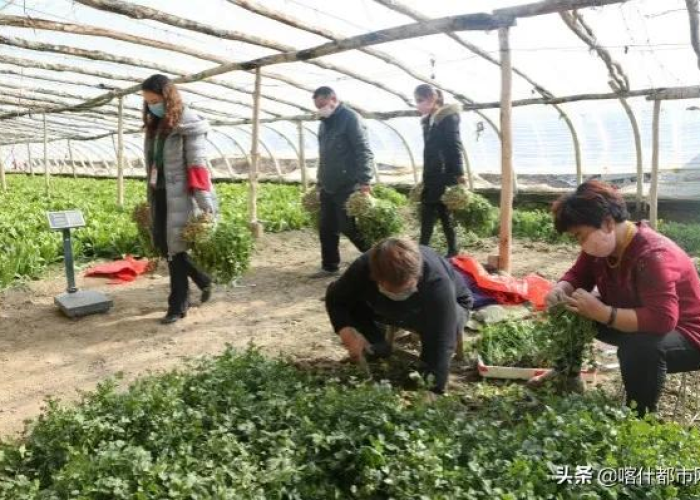 新疆防疫现状:新疆的防疫措施开始调整,希望这有助于促进当地的共识 新疆防疫现状:新疆的防疫措施开始调整,希望这有助于促进当地的共识