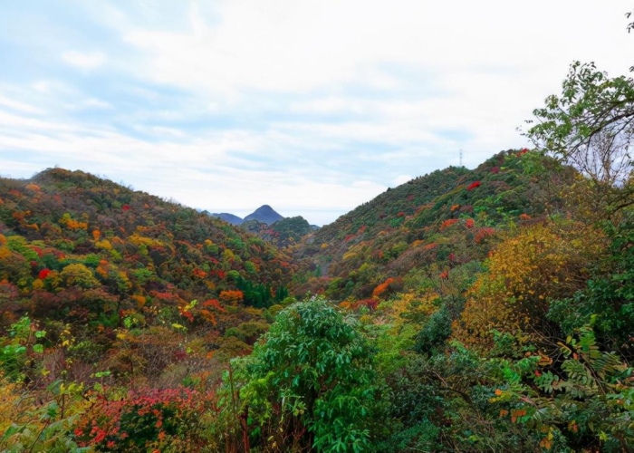 成都什么时候解封?/成都什么时候解封的 成都什么时候解封?/成都什么时候解封的