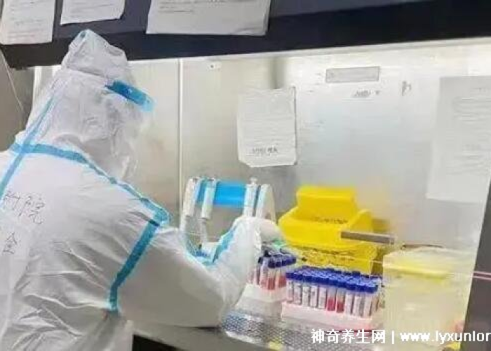 未做核酸检测有什么影响（没做核酸会有什么后果）