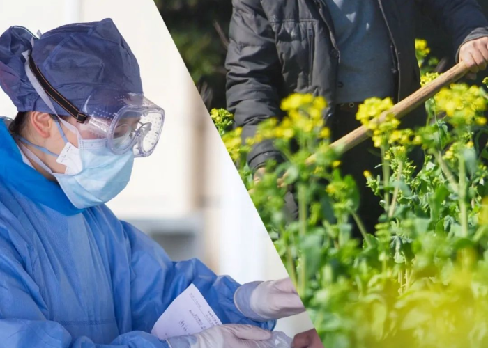 5月回望,疫情阴影下的复苏之光与时代烙印 5月回望,疫情阴影下的复苏之光与时代烙印