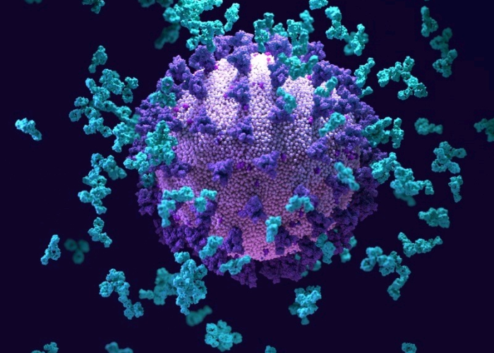 德尔塔毒株的恐怖传播力，揭秘一人可传众的病毒扩散密码