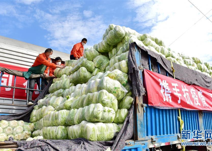 福建疫情蔬菜/福建疫情蔬菜有哪些 福建疫情蔬菜/福建疫情蔬菜有哪些