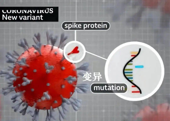 新冠在物体上存活多长时间/新冠病毒在物体上能活几天 新冠在物体上存活多长时间/新冠病毒在物体上能活几天