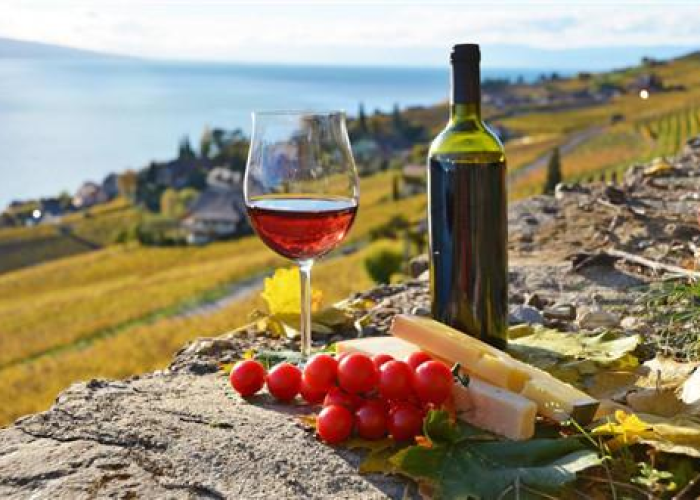 第二波新冠冲击波，并非时间点的追问，而是防疫体系的深度叩诊