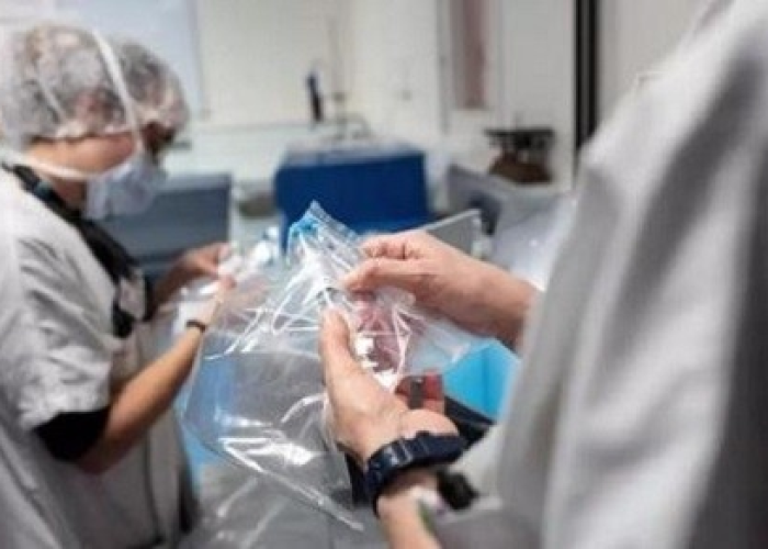 武汉疫情感染者人数背后的数字迷思与人性光辉 武汉疫情感染者人数背后的数字迷思与人性光辉