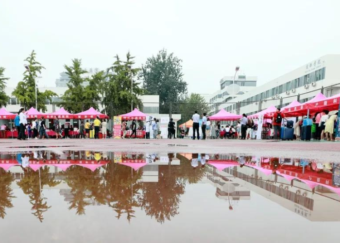 百度独一无二原创文章标题