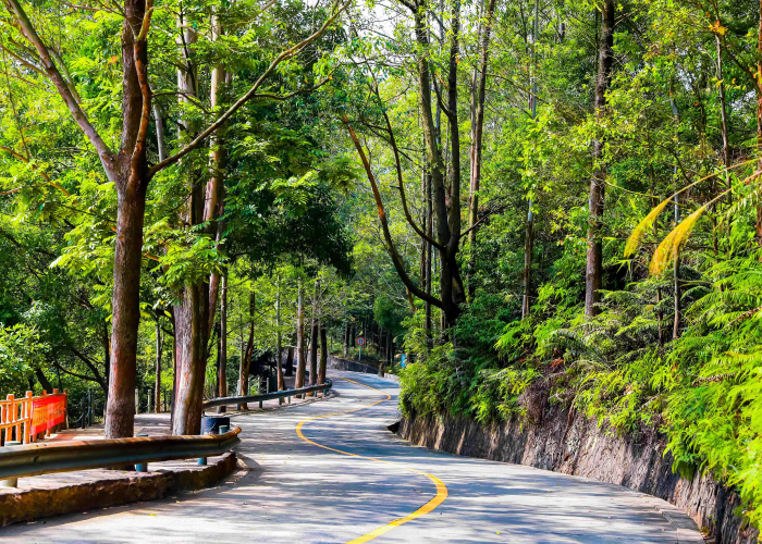 东莞2020,一场雷霆万钧的治安风暴,严打背后的真相与启示 东莞2020,一场雷霆万钧的治安风暴,严打背后的真相与启示