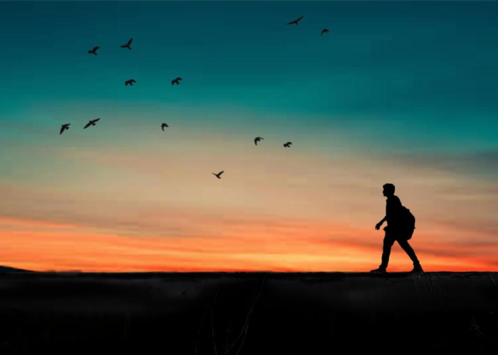 数字背后的人文思考,北京人口逝去的多维解读与生命关怀 数字背后的人文思考,北京人口逝去的多维解读与生命关怀