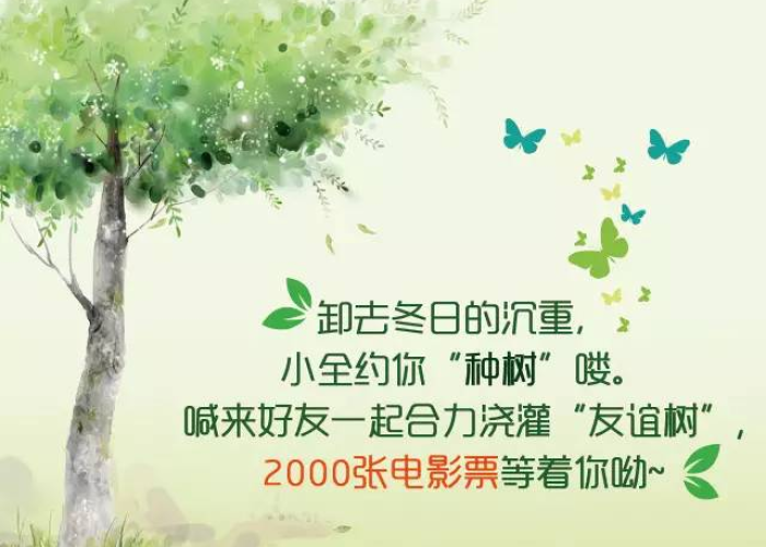 静安疫记,梧桐深处的呼吸与等待 静安疫记,梧桐深处的呼吸与等待