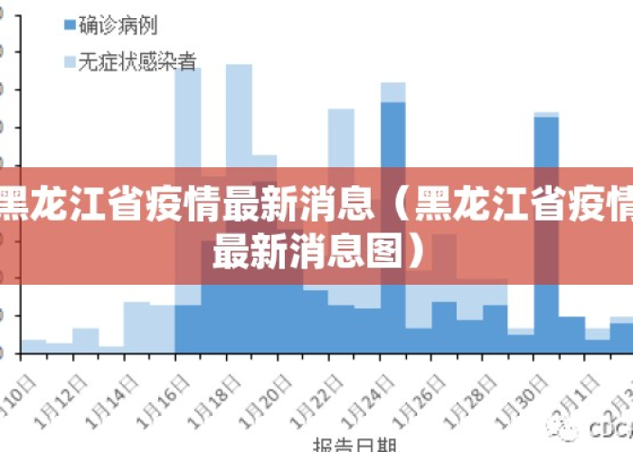 黑龙江疫情动态追踪，今日新增病例解析与防控态势深度观察