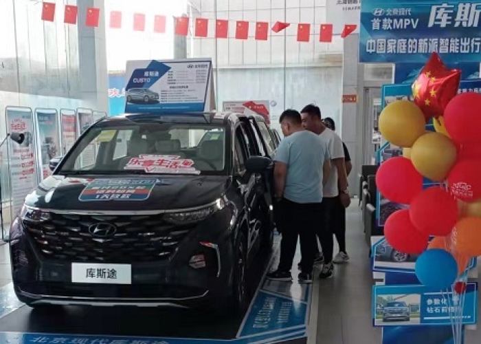 家用电动汽车价格战火纷飞，2024年购车价格表与价值抉择全解析