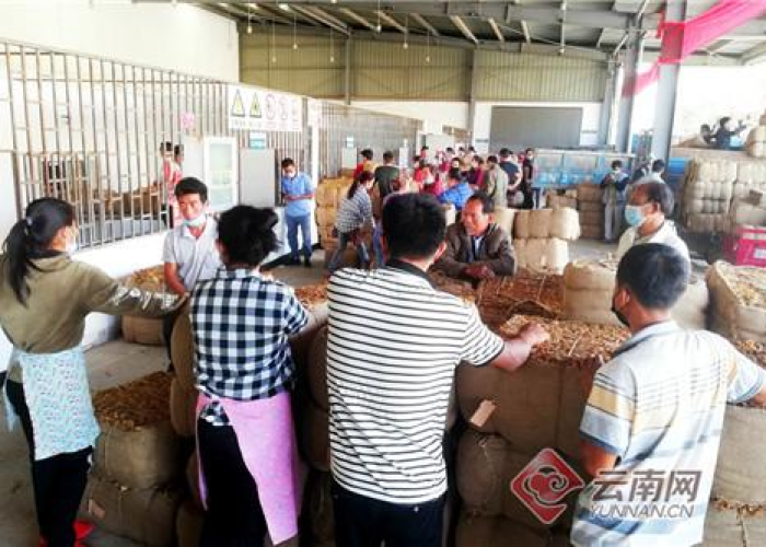 陇川疫情对教育的影响(陇川疫情对教育的影响有多大) 陇川疫情对教育的影响(陇川疫情对教育的影响有多大)