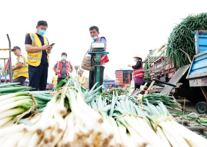 北京新发地疫情始末,一场突发公共卫生事件的警示与反思 北京新发地疫情始末,一场突发公共卫生事件的警示与反思
