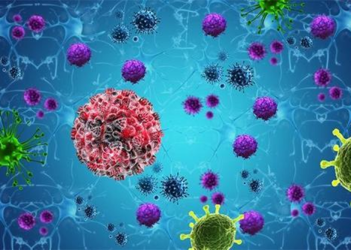 房卡必备教程“金华房卡在哪买”轻松获取房卡全渠道 房卡必备教程“金华房卡在哪买”轻松获取房卡全渠道