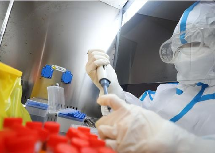 河南雷霆核查核酸检测,刮骨疗毒,捍卫公信力的深层较量 河南雷霆核查核酸检测,刮骨疗毒,捍卫公信力的深层较量