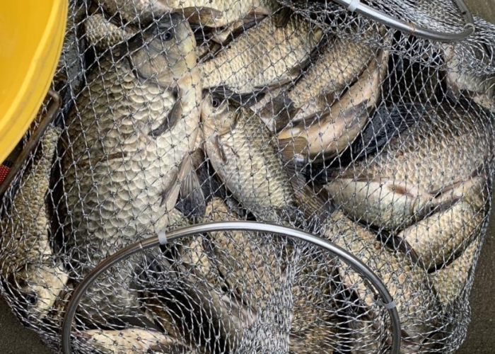 南京封路最新消息今天封路了/南京封路什么时候结束 南京封路最新消息今天封路了/南京封路什么时候结束