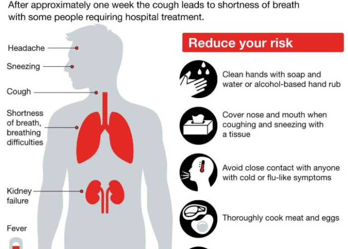 塔德尔病毒,识别其独特症状与应对措施 塔德尔病毒,识别其独特症状与应对措施