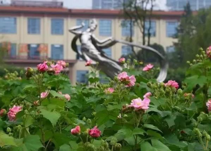 成都新增一例确诊病例/成都新增一例确诊病例行动轨迹 成都新增一例确诊病例/成都新增一例确诊病例行动轨迹