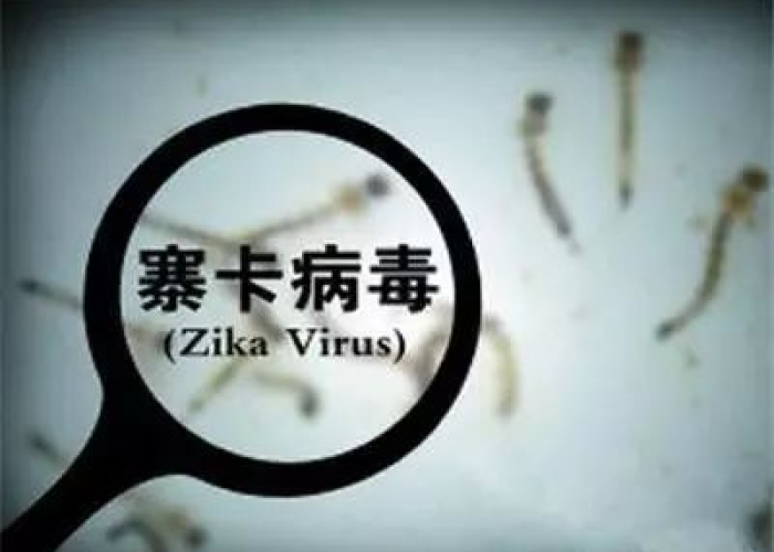 7天130人感染离开河南的人去哪了呢/河南出国感染新冠 7天130人感染离开河南的人去哪了呢/河南出国感染新冠