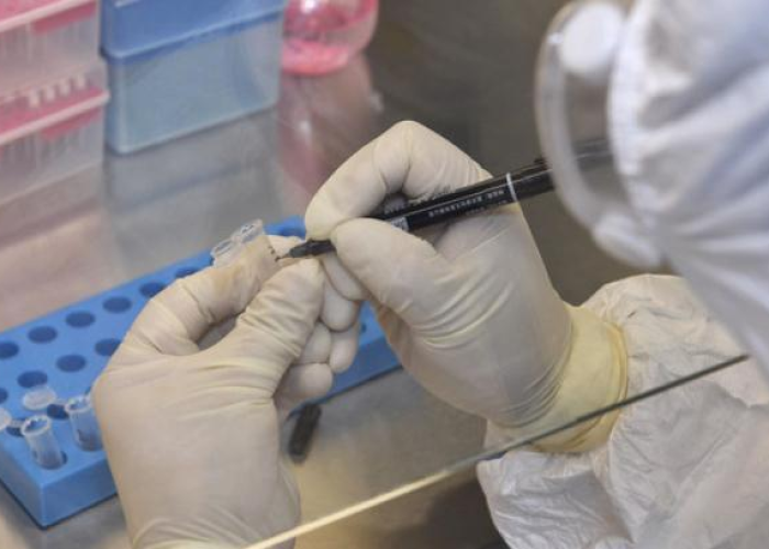 陕西疫情最新数据好消息,防控成效显著,社会面清零稳步推进 陕西疫情最新数据好消息,防控成效显著,社会面清零稳步推进