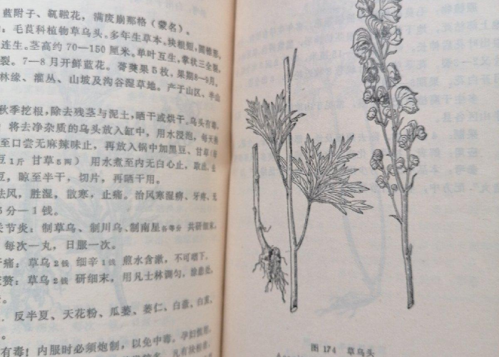 【什么越野车最省油万年历/越野什么车便宜省油】 【什么越野车最省油万年历/越野什么车便宜省油】