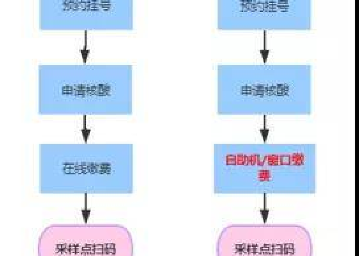 核酸自费检测,费用背后的现实考量与未来展望 核酸自费检测,费用背后的现实考量与未来展望